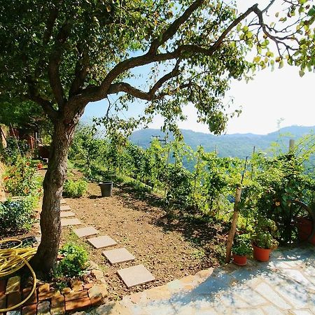 Agriturismo Costamagna Noli Exterior photo